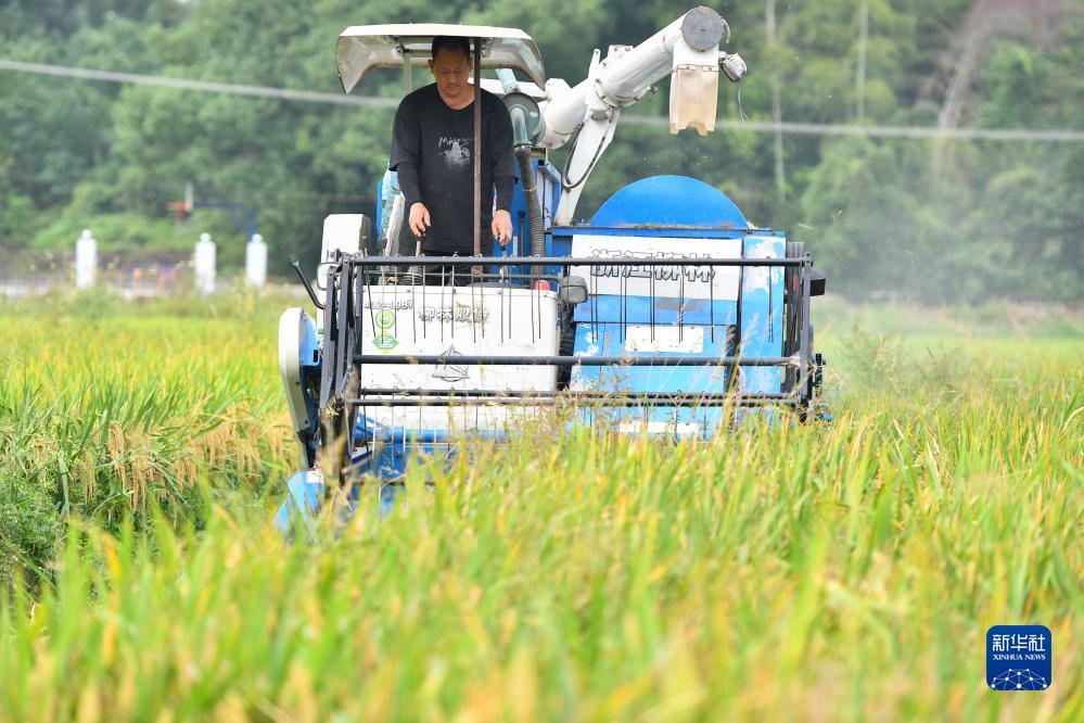 赢钱游戏可以发微信
